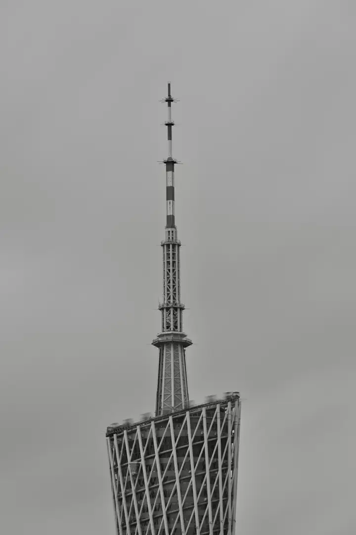 DSC 5629